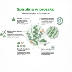 Ilustracja przedstawia spirulinę w proszku, jej składniki odżywcze i formę podania.