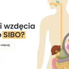 Gazy i wzdęcia mogą być objawem SIBO. Ilustracja przedstawia układ pokarmowy i powiększone bakterie.