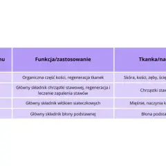 Tabela przedstawia typy kolagenu, ich funkcje i zastosowania, w tym kolagen typu II jako główny składnik chrząstki stawowej, kluczowy dla zdrowia stawów.