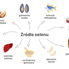 W czym jest selen? W orzechach brazylijskich, małżach, tuńczyku, sardynkach, wołowinie, wątrobie, ryżu, fasoli i chlebie pełnoziarnistym.