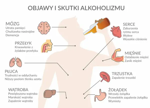 Ilustracja pokazuje skutki alkoholizmu: uszkodzenia mózgu, przełyku, płuc, wątroby, serca, mięśni, trzustki i żołądka.