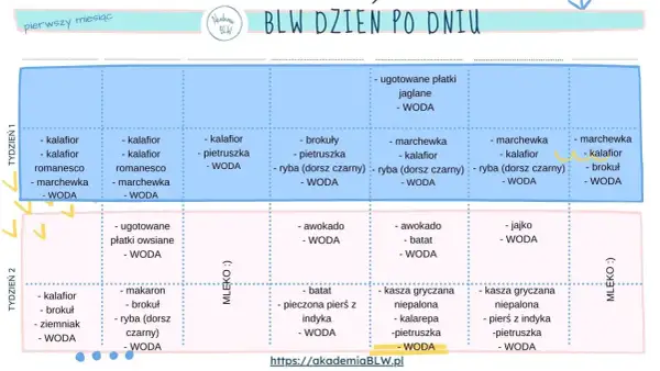 Jadłospis BLW na pierwszy miesiąc: warzywa, ryby, kasze i inne zdrowe propozycje dla malucha.