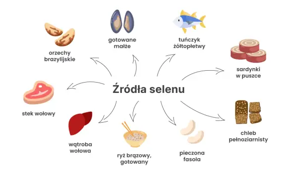 W czym jest selen? W orzechach brazylijskich, małżach, tuńczyku, sardynkach, wołowinie, wątrobie, ryżu, fasoli i chlebie pełnoziarnistym.