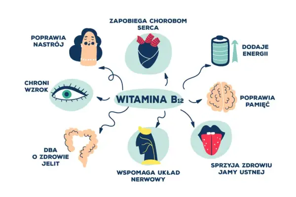 Niedobór witaminy B12 może objawiać się problemami z nastrojem, pamięcią i układem nerwowym. Witamina B12 wspiera też serce, wzrok, jelita i jamę ustną.